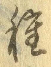 已定位種