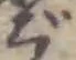 ご 위치 확인됨