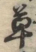 草 위치 확인됨