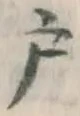 글자 戸