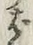 글자 ば