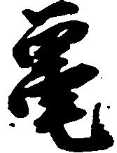 已定位亀