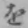 글자 を