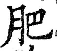 文字肥