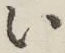 글자 い