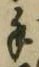 文字 手