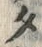 字タ