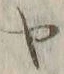字ヤ