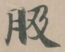 䏜 위치 확인됨
