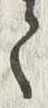 “て”字