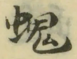 螝の位置