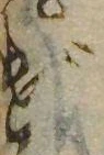 位置 確認된 げ