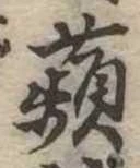 蘋 위치 확인됨
