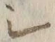 “シ”字