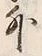 Chữ 外