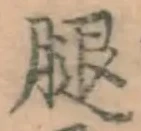 글자 腿
