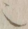글자 也