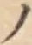 字ノ