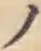 字ノ
