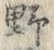 글자 野