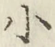 字小
