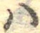 𛂞の位置