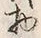 文字物