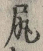 尻 위치 확인됨