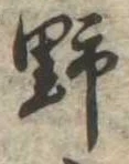 野 위치 확인됨