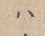 已定位𛂞