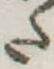 𛁠 위치 확인됨