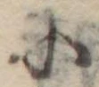Đã định vị 𛂋
