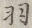 羽の位置