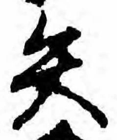 已定位矢