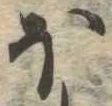 𛃀 위치 확인됨