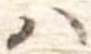 𛂞 위치 확인됨