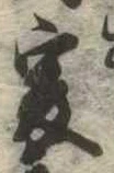 爰 위치 확인됨