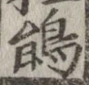 Đã định vị 鵑