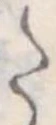 Đã định vị 𛁠