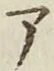 字ア