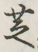 芝 위치 확인됨