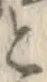 文字と