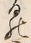 글자 ゐ