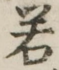 若 위치 확인됨
