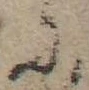 Đã định vị 𛂋