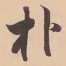 朴の位置