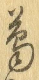 位置定マレル葛