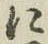 글자 に