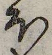 已定位𛃀