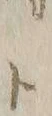 字ト